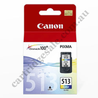 Genuine Canon CL513 Colour Ink Cartridge